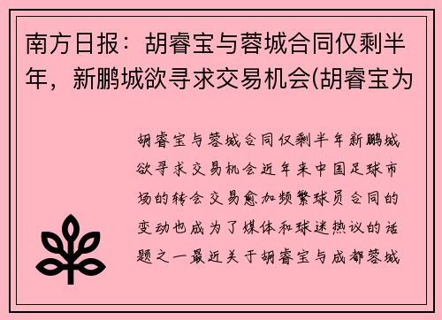 南方日报：胡睿宝与蓉城合同仅剩半年，新鹏城欲寻求交易机会(胡睿宝为什么叫曼城名宿)