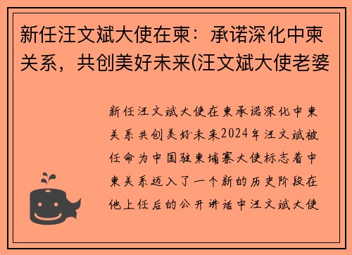新任汪文斌大使在柬：承诺深化中柬关系，共创美好未来(汪文斌大使老婆)